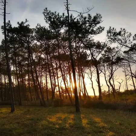 Albertine Appt 112 Διαμέρισμα