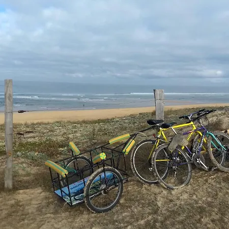 Albertine Appt 112 Διαμέρισμα Moliets-et-Maa