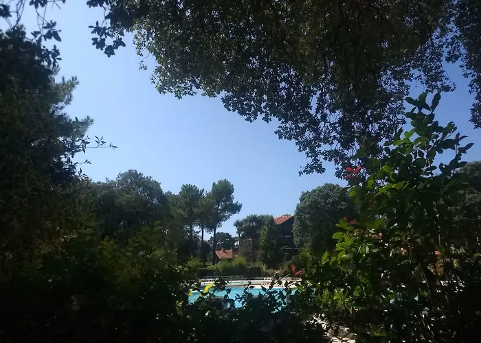 Διαμέρισμα Albertine Appt 112 Moliets-et-Maa