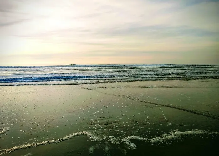 Albertine Appt 112 *