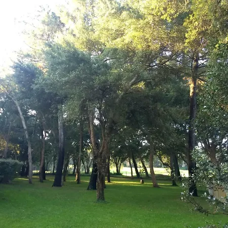 Albertine Appt 112 Apartamento