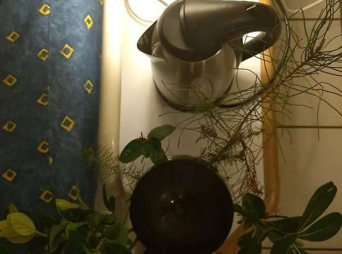 Albertine Appt 112 Moliets-et-Maa