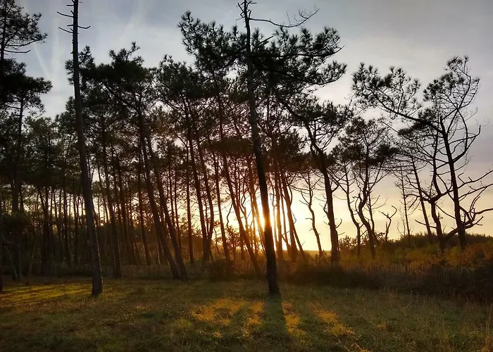 Albertine Appt 112 Lägenhet