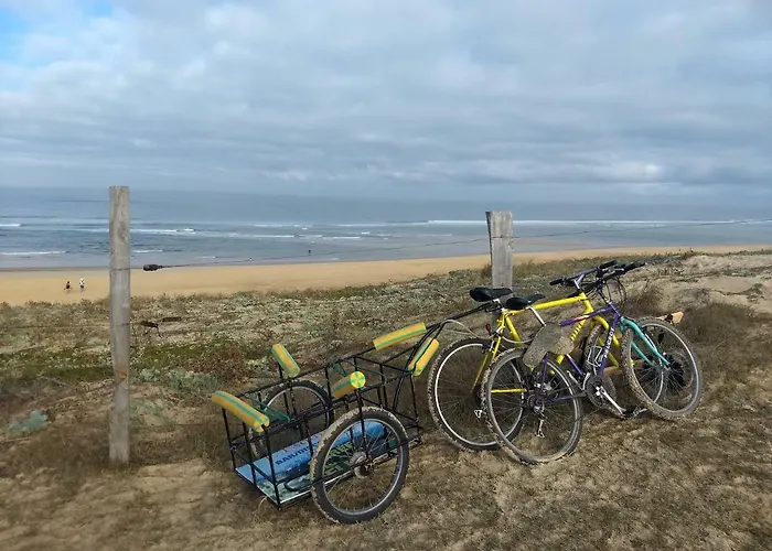 Albertine Appt 112 Lägenhet Moliets-et-Maa